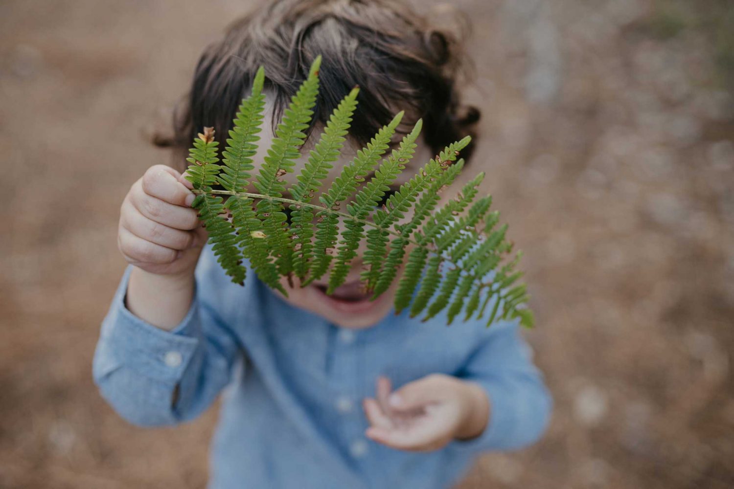 aloreedesfees-photographe-famille (23)